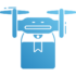 Drone-Assisted Deliveries